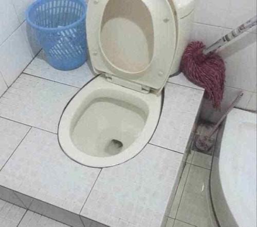 梦见自己蹲坑