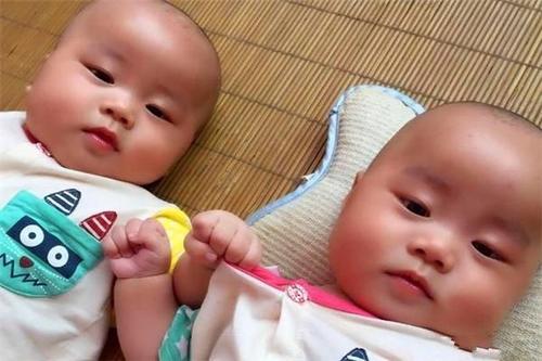 梦见自己怀了双胞胎