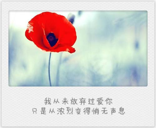梦见自己放弃事业