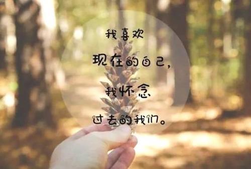梦见别人跟我要东西