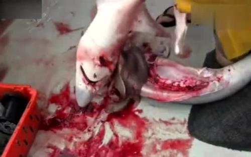 梦见别人用刀捅自己腹部