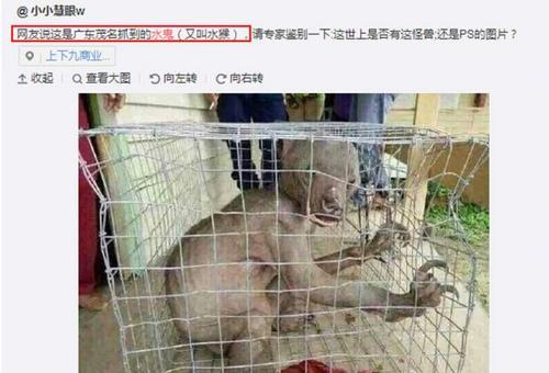 孕妇梦见水鬼