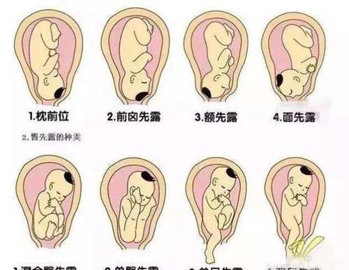 梦见有人踢肚子