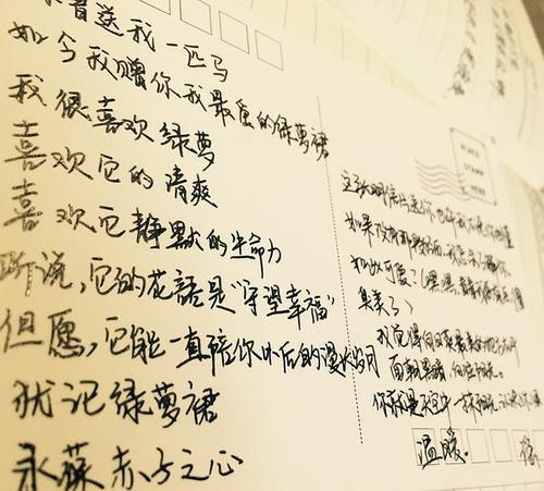 梦见有人给我书