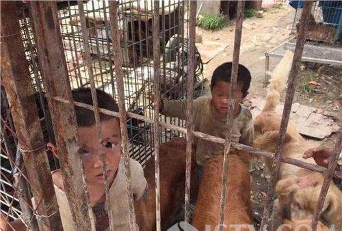 梦见小孩被抓