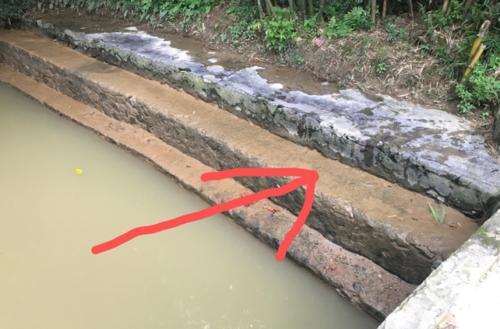 梦见别人小孩掉河里