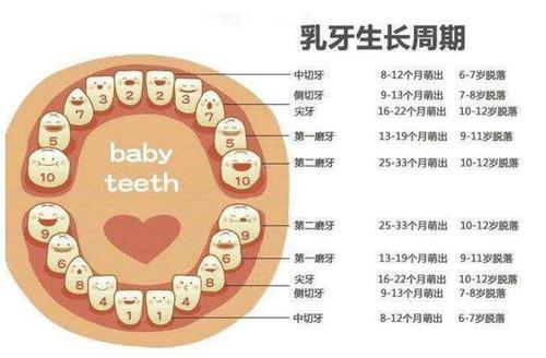 梦见小孩牙齿掉了