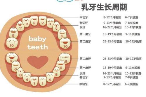 梦见小孩长牙
