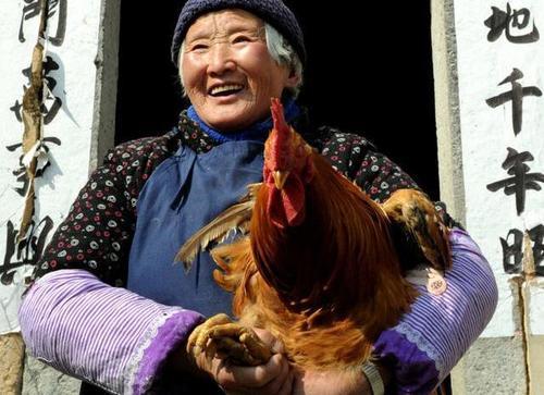 梦见儿子回家