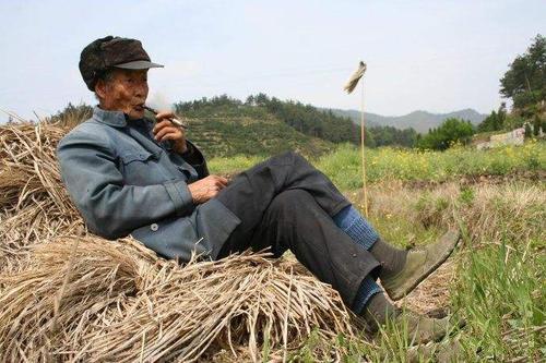 梦见老人衣服有刀