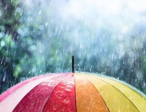 梦见下大雨读书