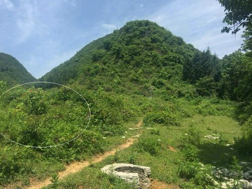 梦见风水先生看风水