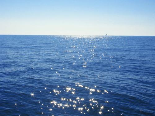 梦见在海中洗澡