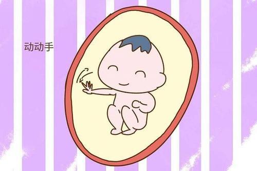 梦见胎动像游泳