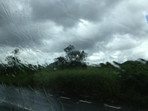 梦见路上下起雨