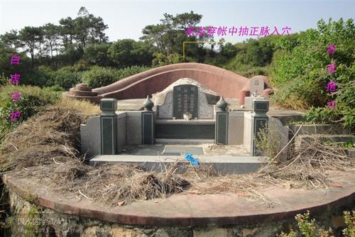 梦见墓地跳舞