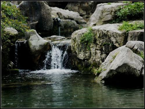 梦见泉水救火