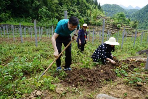 梦见干农活