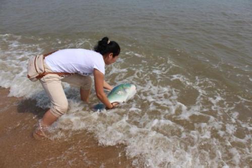 梦见去海边放生 梦见去海边放生