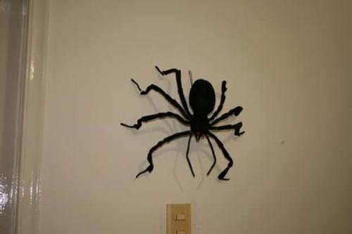 梦见东西破了 梦见东西破了