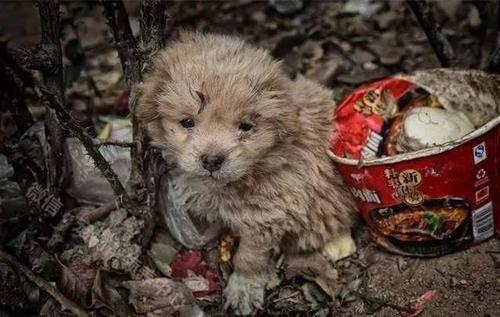 梦见在外地流浪 梦见在外地流浪