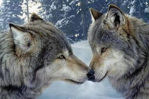 梦见挖坟里的金银财宝 梦见挖坟里的金银财宝