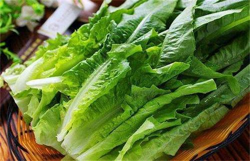 梦见油麦菜 梦见油麦菜