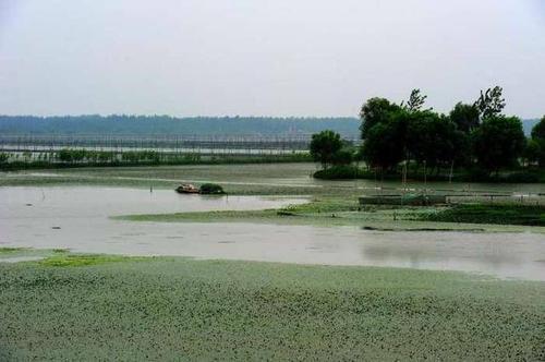 梦见湖水水位高