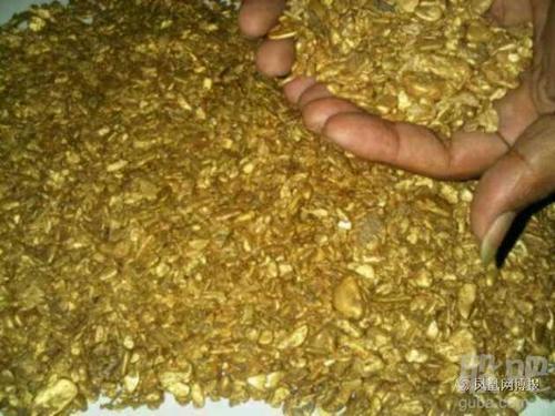 梦见挖到很多黄金