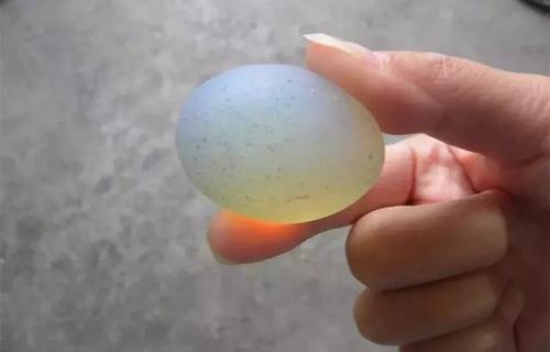 梦见水里捡鸡蛋 梦见水里捡鸡蛋