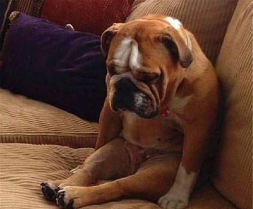 梦见做错事被发现 梦见做错事被发现