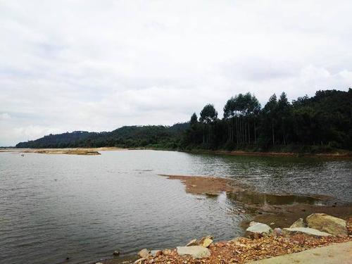 梦见路上好多水