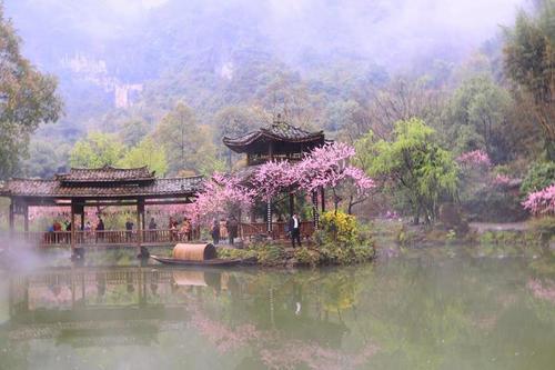 梦见光身子在水中游