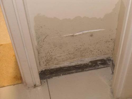 梦见水把家里的墙冲倒了