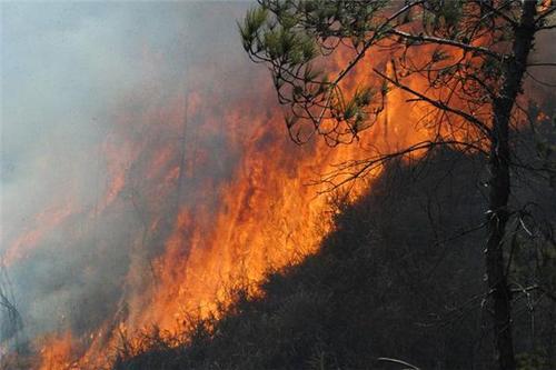 梦见大火烧了一座山 梦见大火烧了一座山