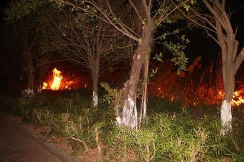 梦见点火烧草 梦见点火烧草