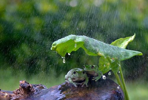 梦见雨漏到身上 梦见雨漏到身上
