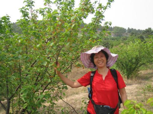 梦见上山摘菜 梦见上山摘菜