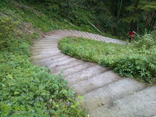 梦见上山的台阶 梦见上山的台阶