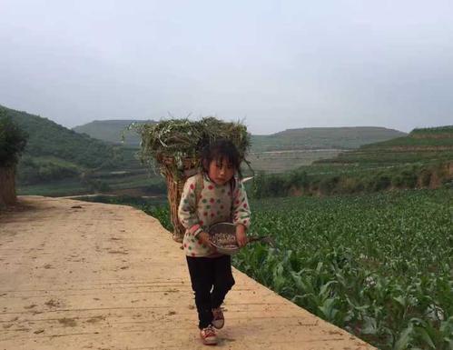 梦见从山坡上掉下来