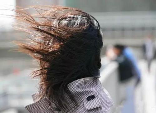 梦见被风吹走了