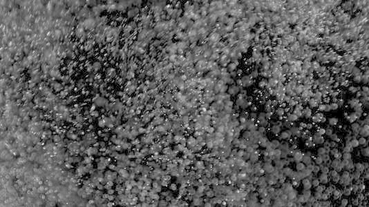 梦见下黑色的雪 梦见下黑色的雪