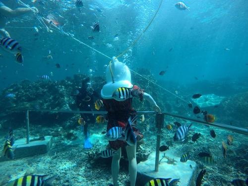 梦见在海底漫步 梦见在海底漫步