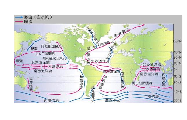 梦见跟随洋流在海上漂