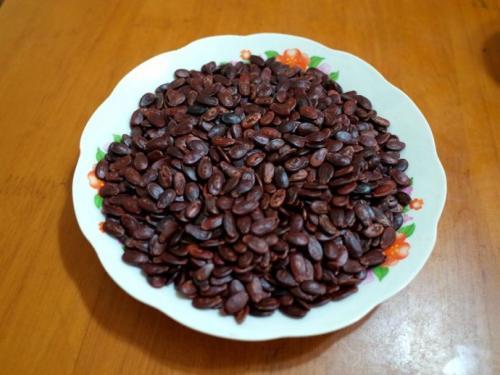 梦见满地瓜子皮 梦见满地瓜子皮