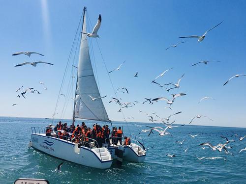 梦见出海坐船 梦见出海坐船
