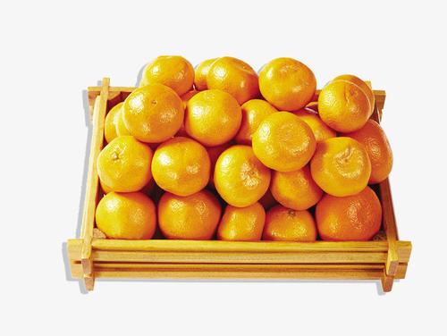 梦见一个黄桔子 梦见一个黄桔子