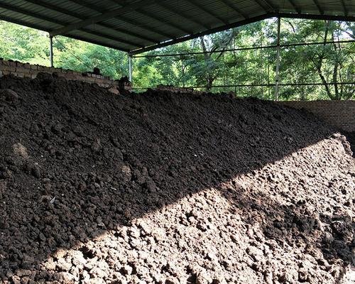 梦见泉水有羊粪