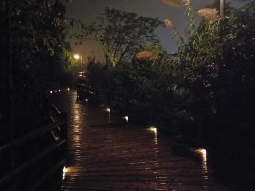 梦见夜晚独自行走