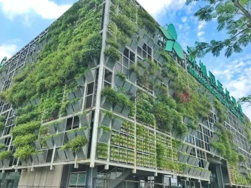 梦见农田里长草 梦见农田里长草